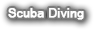 Scuba Diving
